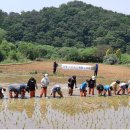 동로초등학교 이미지