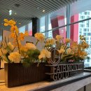 골드크리닝 이미지