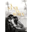 스타다이스 이미지