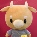 기억하개 이미지