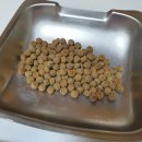 (주)엠엑스코리아 이미지