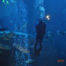 반딧불요양원 이미지