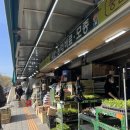 수원종묘농약사 이미지