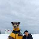 송도박사부동산공인중개사사무소 이미지