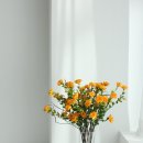 여미하우스 이미지