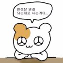 챌린지-17회차(직장인도시락,하니,금정역카페,스트라토커피,화룡양꼬치,서브웨이메뉴추천,백주방,광교...