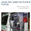 강릉카케어 이미지