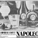 1981년 12월 17일 신문광고 몇 가지