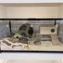 패러그린샵 명지점 이미지