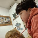 고양이 놀이터 이미지