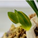 천종농장 이미지