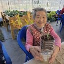 2025년 11월 26일 - 자동급수 로즈마리 화분만들기(4) 이미지