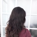 비비드헤어 이미지