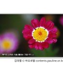 [매일복음(나해) 15-09-03] - 베드로가 예수님의 무릎 앞에 엎드려 말하였다. “주님, 저에게서 떠나주십시오. 저는 죄 많은 사람입니다."(루카 5,1-11) 이미지