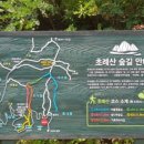 초례산 숲속 힐링로드 이미지
