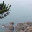 솔향기민박 이미지