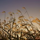 서천주차장 이미지