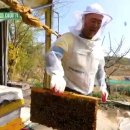 상백마을 이미지