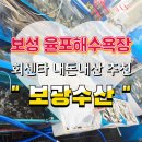보성회센터 | 율포해수욕장 수산시장 자연산 농어회뜨기 바다를 품은 보성회센터 :: 보광수산