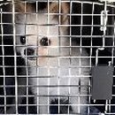 목포원광한방병원 이미지