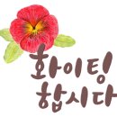 쌀로하는 아동요리 네이버블로그