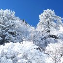 천왕봉가든 이미지