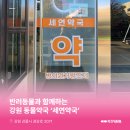 세연약국 네이버블로그