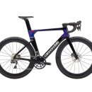 스테이식스 이미지