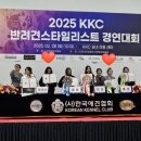 벨라루시애견미용학원 이미지