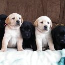 어울펜션 이미지