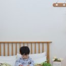 아기랑 인생샷 남기기 좋은 고양 렌탈스튜디오! 오브유 스튜디오 A존 촬영 대만족 후기