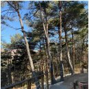 별빛은하수펜션 이미지