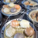 스테이증산 | 삼척 뚜벅이 여행 최가네 쏠비치삼척 이사부사자공원