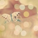 생명나무한의원 이미지