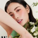 나나봄
