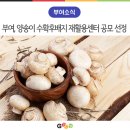 석탑영농조합법인 이미지