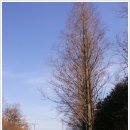 귀성약수터 | [20100127]시흥 늠내길 제3코스 옛길을 역방향으로 다녀오다 - 3부