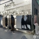 유원카서비스 | [대구 남구] 유원게스트하우스 - 소형견만