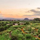 카멜리아힐 이미지