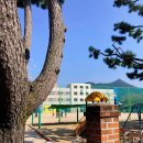 수월초등학교 병설유치원 이미지