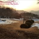 수룡보건진료소 이미지