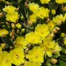 김윤식농장 이미지