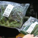 싱싱편의점 이미지