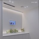 아이드림펫 이미지