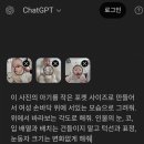 생성 | ChatGPT(챗지피티)로 포켓아기 생성 후기(ft. 근데 누구세요...? 대실패ㅋㅋㅋ)