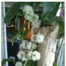 추산초교 이미지