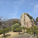 박재철 | 전남 목포_ '유달산', '정광정혜원', '스카이 워크'와 '해상 케이블카'