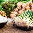 하나유통 이미지