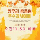 #11월 13일 한우리교회소식(예배 비전 사역 동정 헌신 기도 추수감사) 이미지