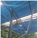 승리세차장 | 러브버그 습격에도 끄떡없는 용인 자동세차장 후기!